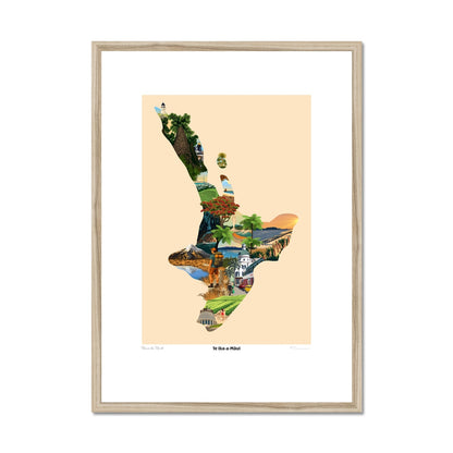 image11