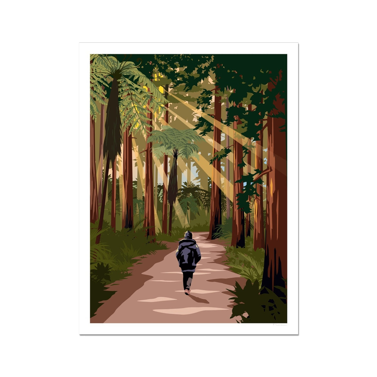 Rotorua - Redwoods Forest - Travel Poster, New Zealand