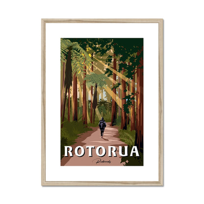 Rotorua Redwoods Framed & Mounted Print