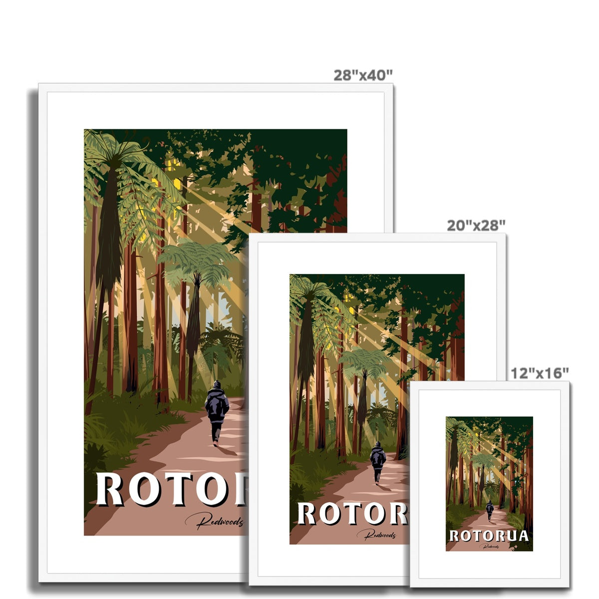 Rotorua Redwoods Framed & Mounted Print